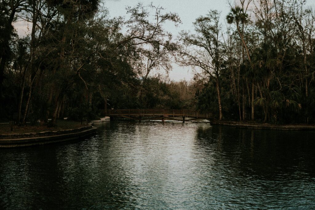 homes for sale apopka fl wekiva state park