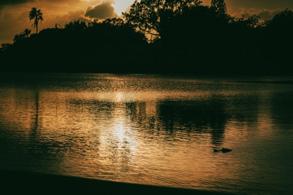 homes for sale in Osceola County FL lake with gator