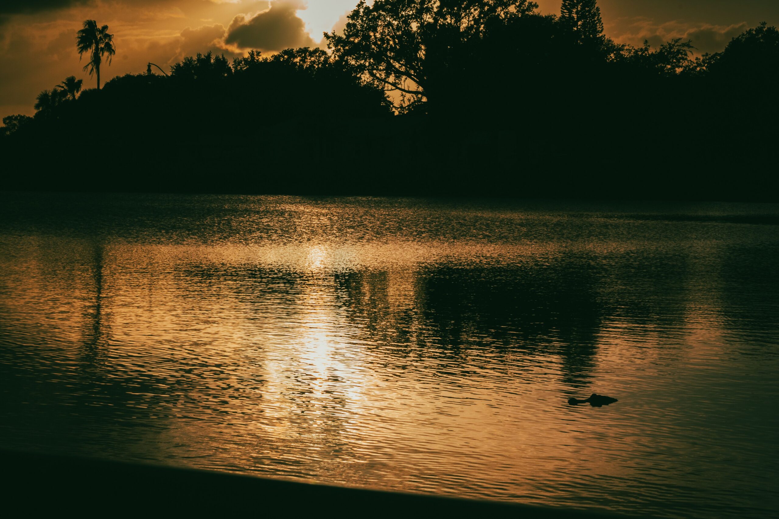 Homes for Sale Osceola County FL